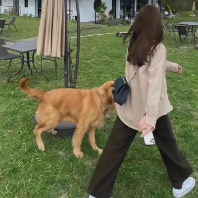 战天狼